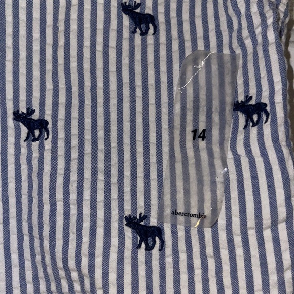 Abercrombie blue and white seersucker shorts with embroidery logo size 14 - Picture 2 of 4